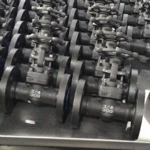 Z41Y美標鍛鋼閘閥
